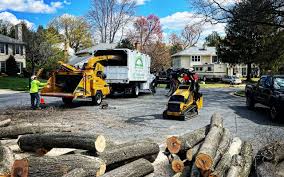 Best Tree Risk Assessment  in Sweetwater, TN