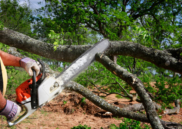 Landscape Design and Installation in Sweetwater, TN